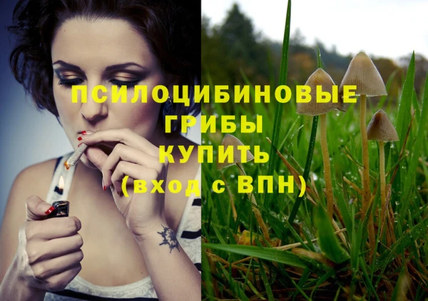 соль курить ск Балахна