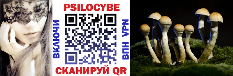 продажа наркотиков  Родники  Галлюциногенные грибы Cubensis 